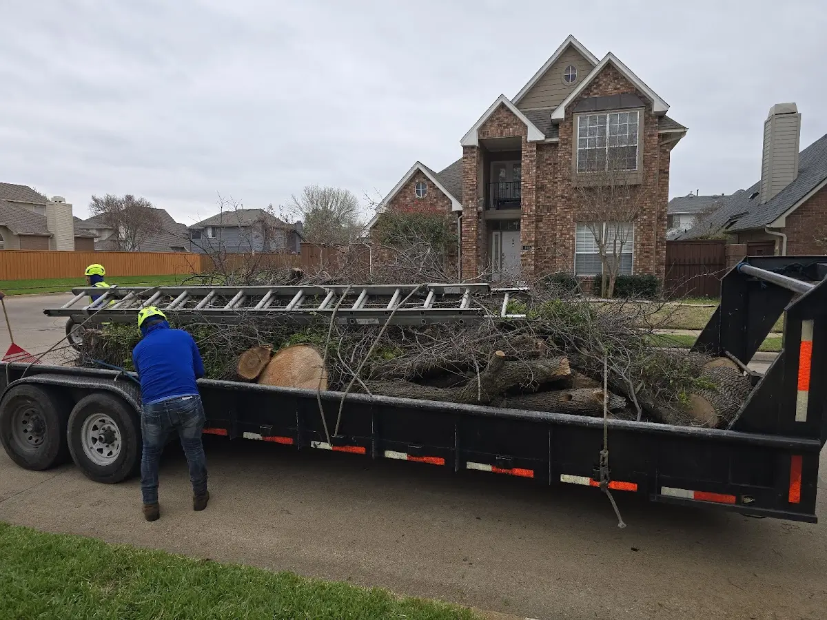 Expert Tree Fertilization with proper safety equipment in Stryker